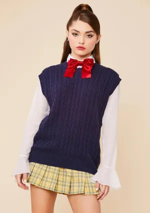 Navy Lunch On The Steps Knit Sweater Vest